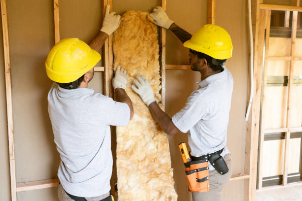 Types of Insulation We Offer in Boise, ID